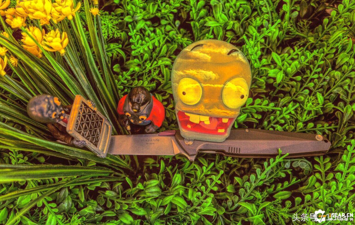 给你来点不一样的最佳战术*刀折**奖得主测评