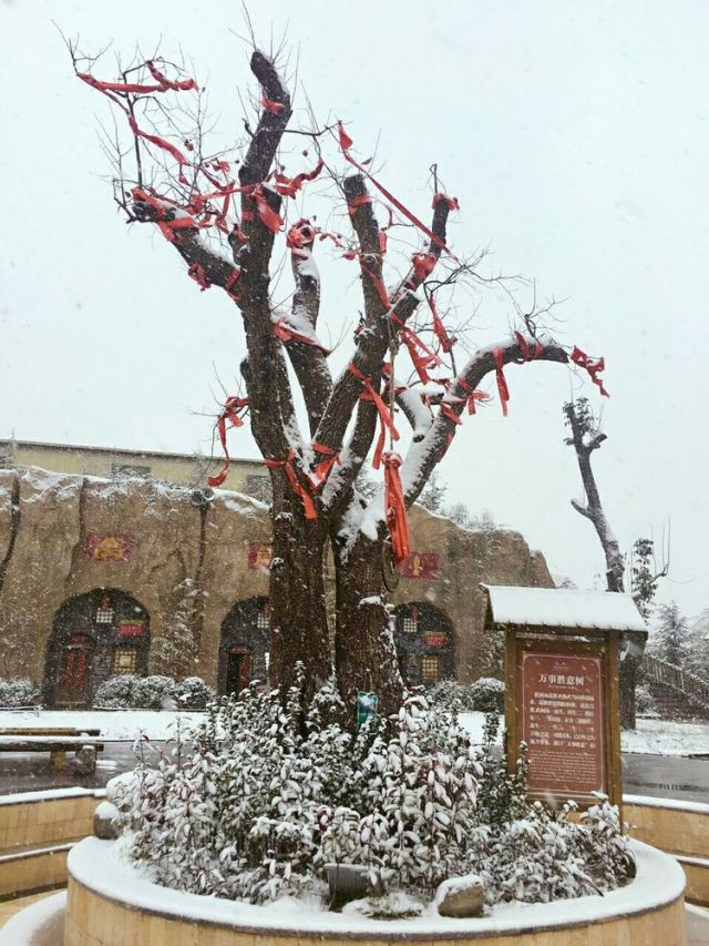 运城温泉门票热卖,运城附近的温泉哪里好