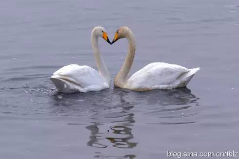 运城温泉门票热卖,运城附近的温泉哪里好