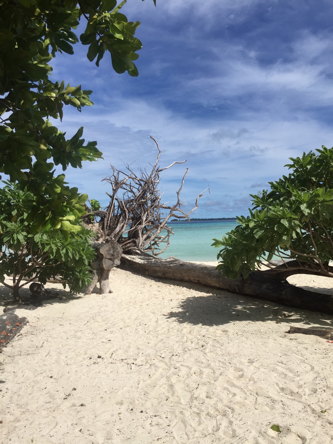 帕劳旅行攻略大全图文,帕劳旅行攻略图文大全