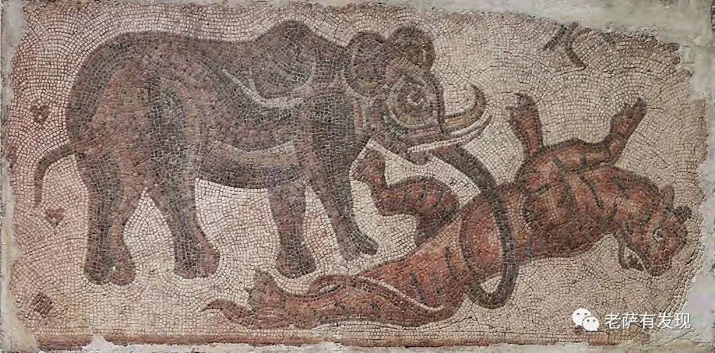 干旱的塔里木盆地,干旱的新疆沙漠