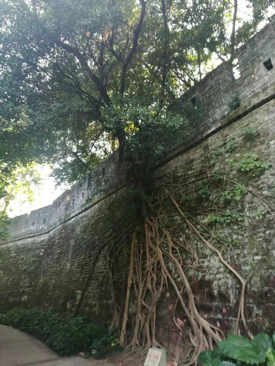 广州越秀公园游玩攻略,广州越秀区一日游攻略最新