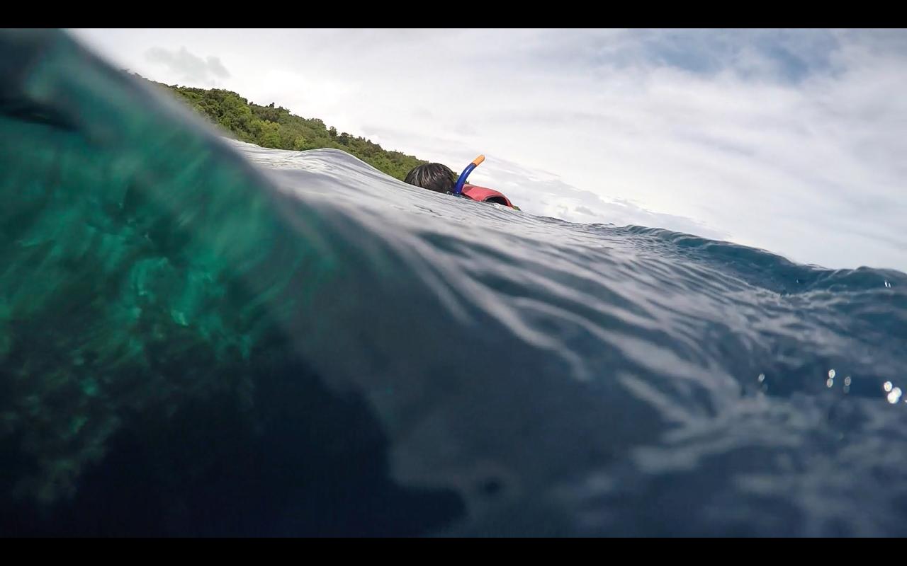 帕劳旅行攻略大全图文,帕劳旅行攻略图文大全