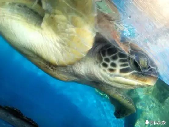 千元玩转趣拍，小辣椒S35上手体验