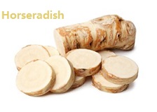 apple苹果的英语是什么,苹果的英语为什么是anapple