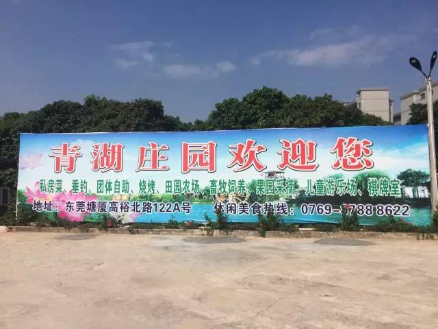 我和新春有个约会视频,我和新年有个约会600字作文