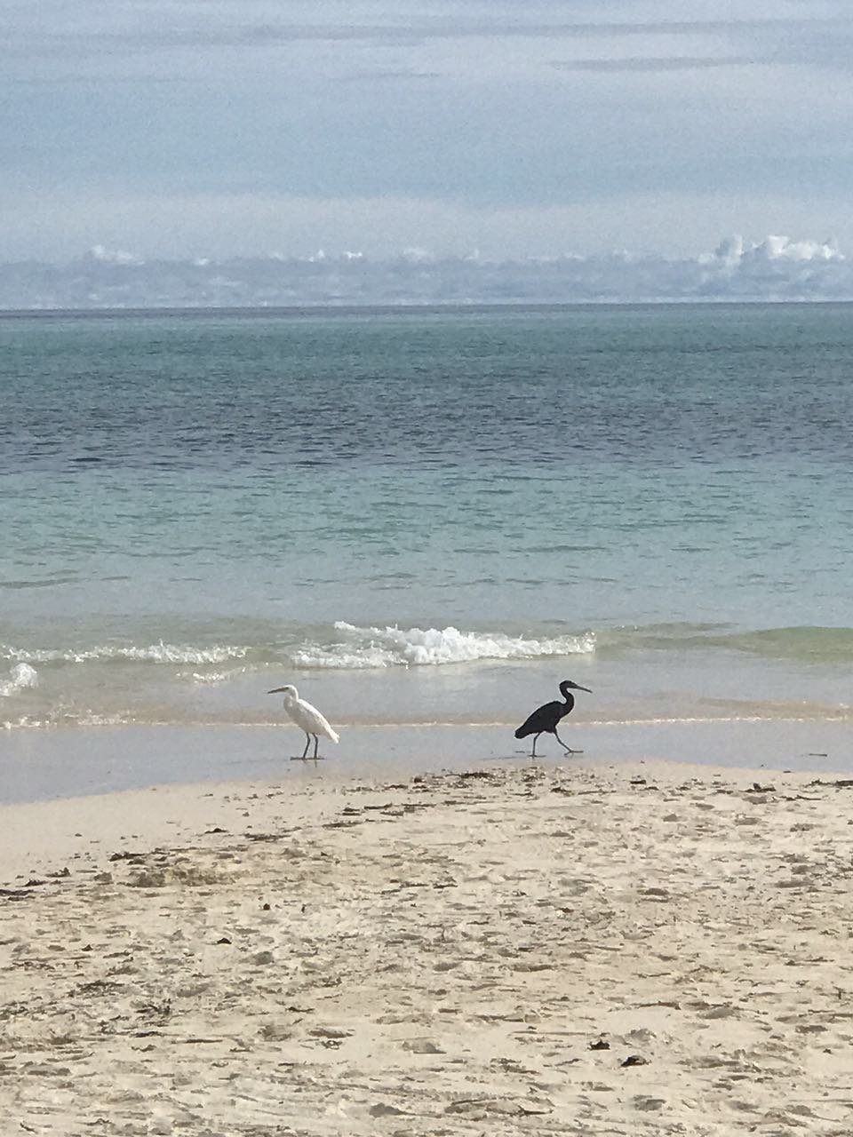 帕劳旅行攻略大全图文,帕劳旅行攻略图文大全