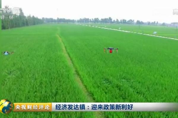 “小马如何拉大车”？经济发达镇这样来改革