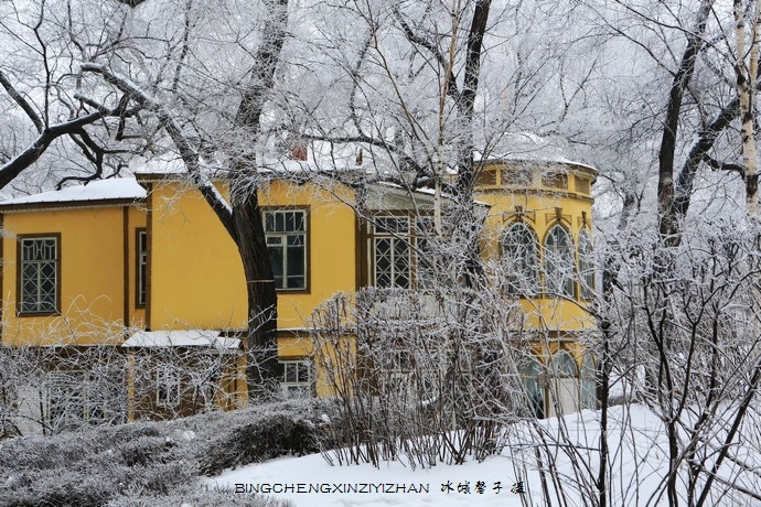 哈尔滨太阳岛的冬天照片,哈尔滨太阳岛的冬天有多美