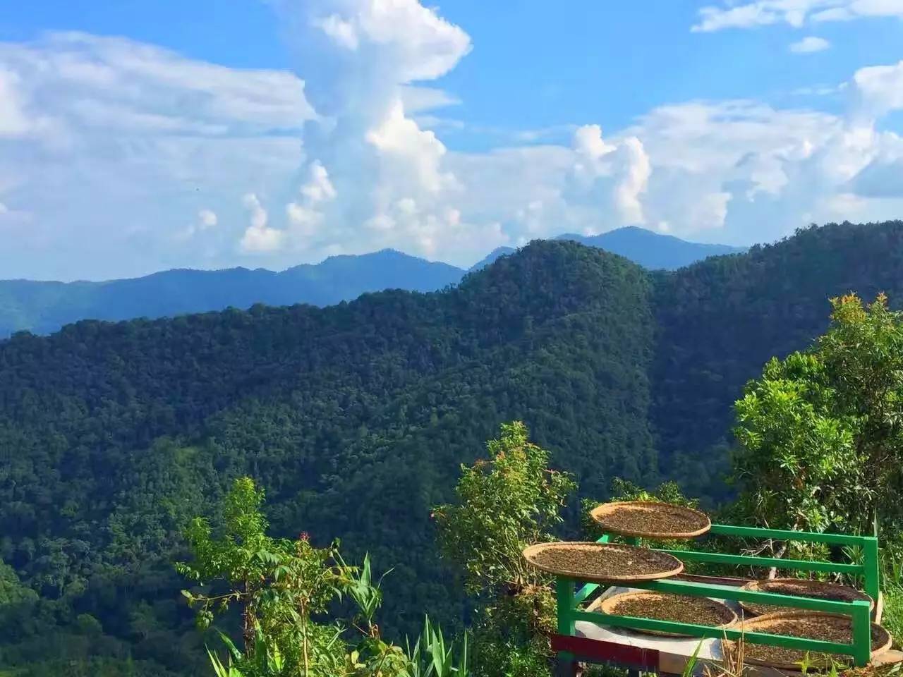 “在选择人生道路这件事上，我不曾被一种洪流卷走”｜KY访谈