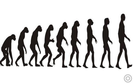 孕妈妈一般生宝宝白天还是晚上,怀孕生娃什么时间好