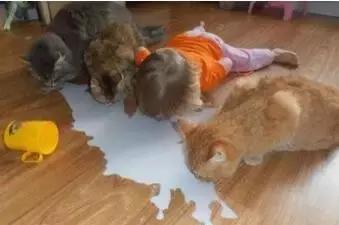 5岁男童腹部一会疼一会不痛,五岁男童肚子痛又吐是怎样情况