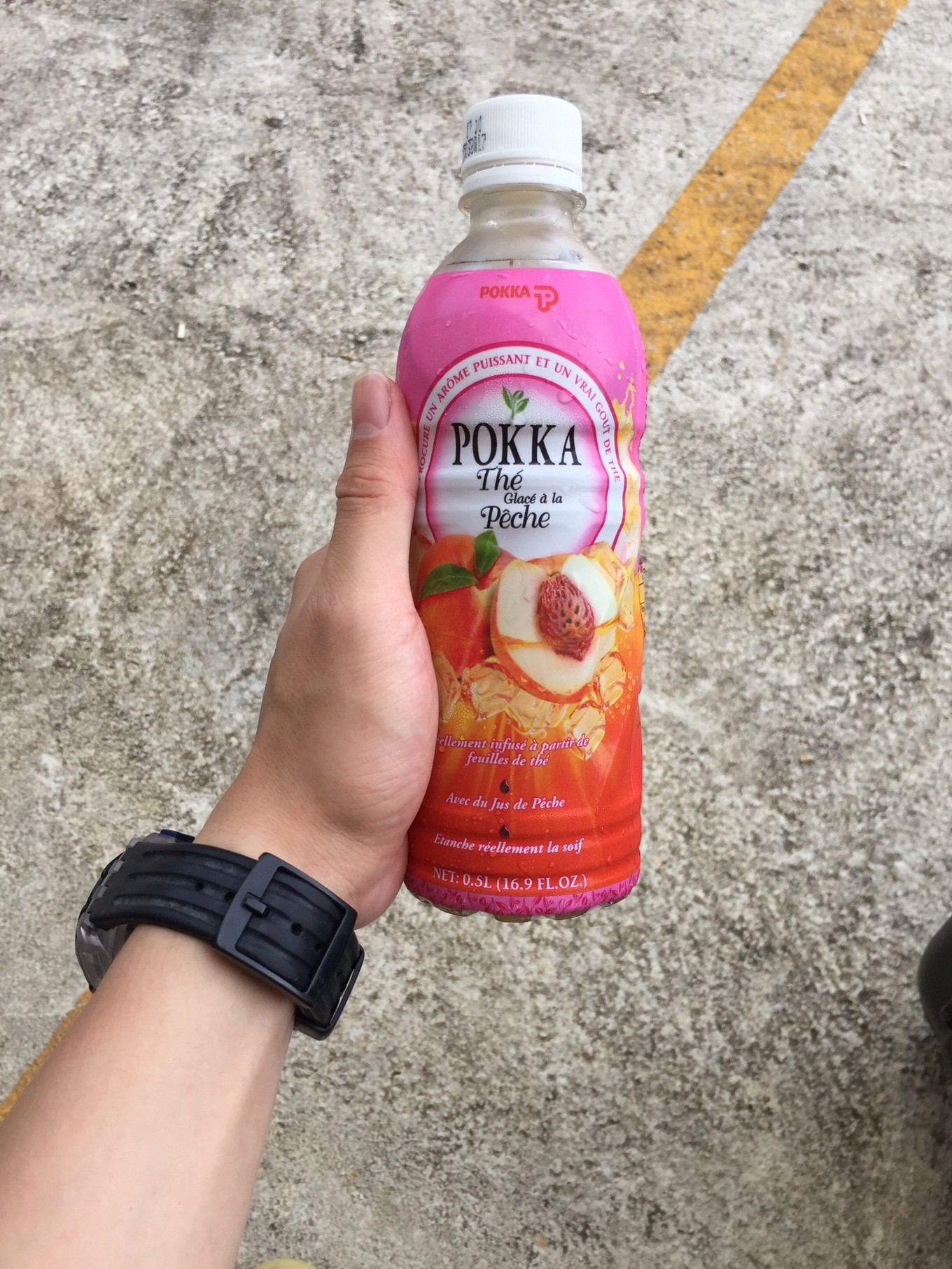 帕劳旅行攻略大全图文,帕劳旅行攻略图文大全