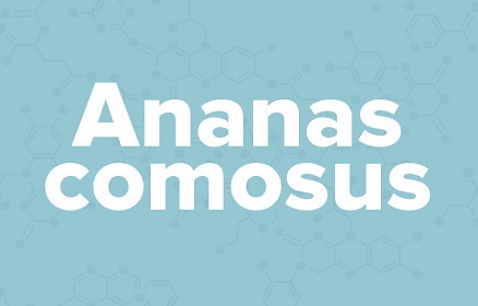 苹果的英文不是apple,苹果的英文发音是apple还是apple