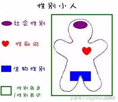 你的性别取向是什么,你的性别是什么选择题