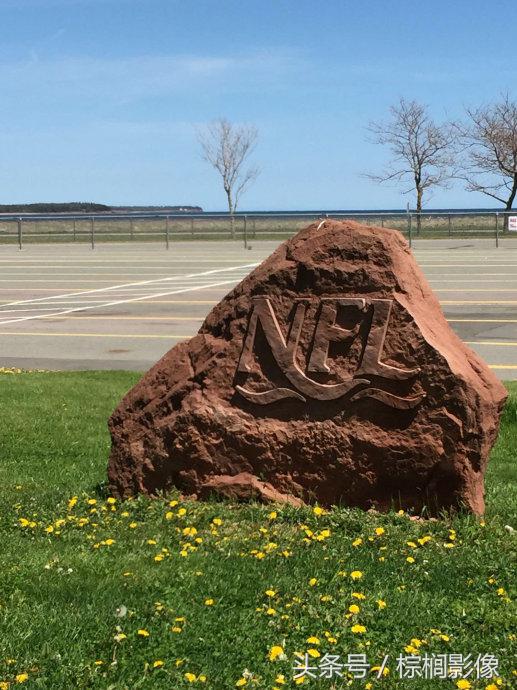 鐖卞痉鍗庣帇瀛愬矝鏈夋病鏈夊畨濡繖涓汉,缁垮北澧欑殑瀹夊Ξ鐖卞痉鍗庣帇瀛愬矝
