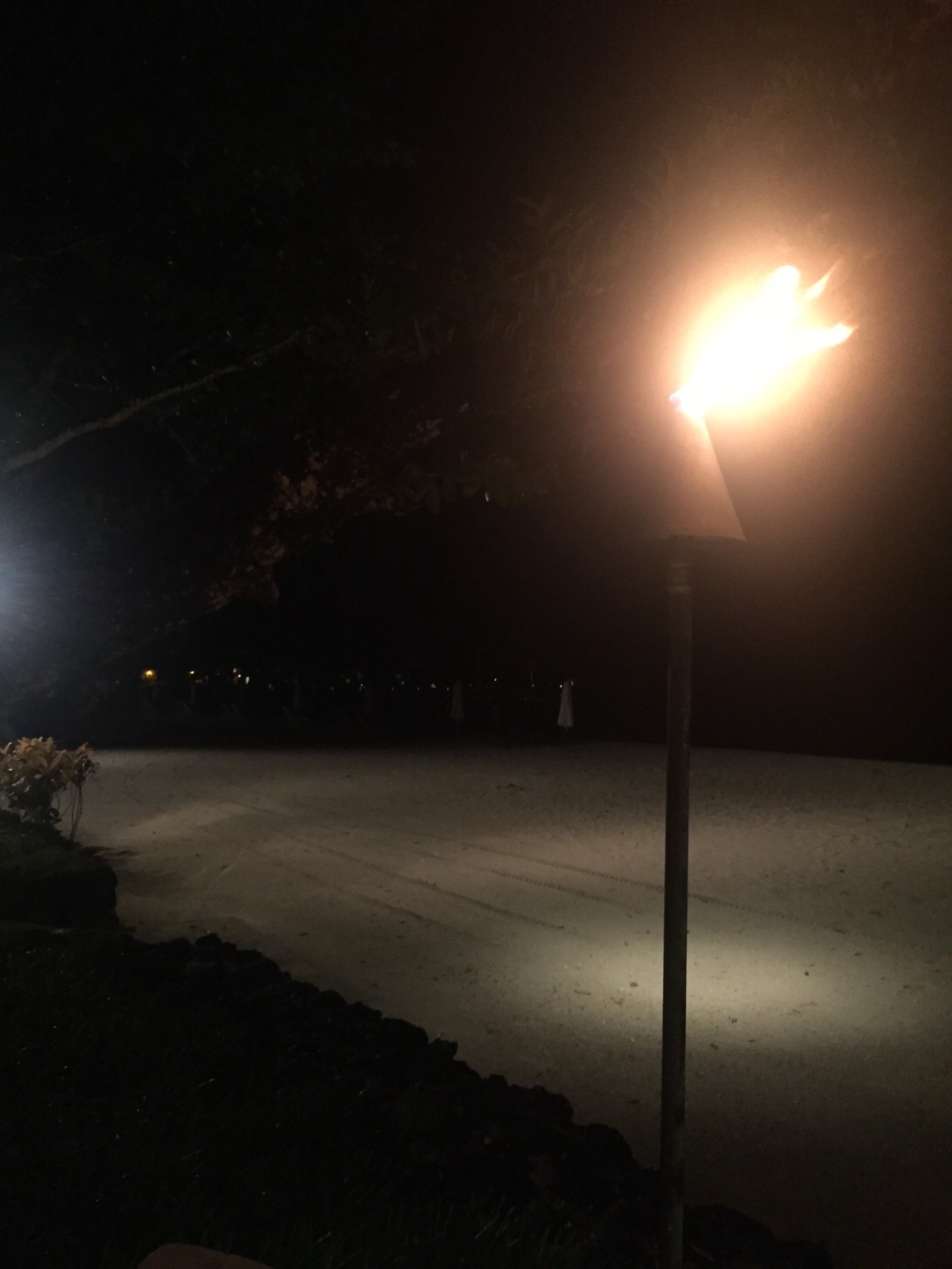 帕劳旅行攻略大全图文,帕劳旅行攻略图文大全