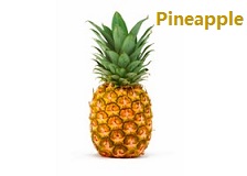 苹果的英文不是apple,苹果的英文发音是apple还是apple