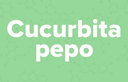 apple苹果的英语是什么,苹果的英语为什么是anapple