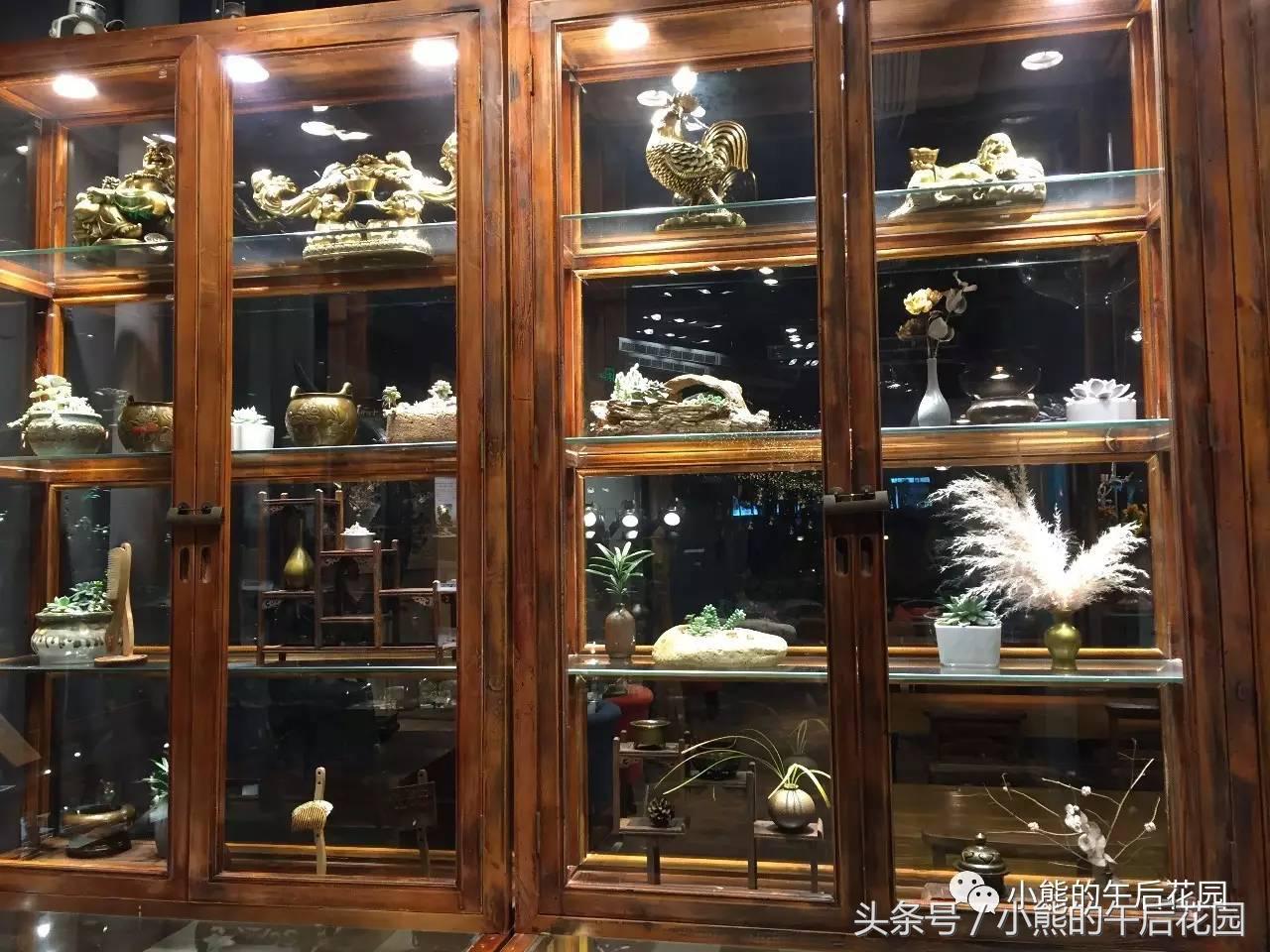 二零一六,多肉大事记