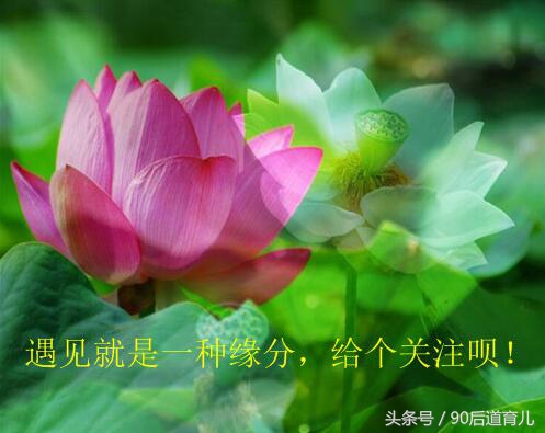 宝宝用哪个牌子的奶瓶最好最安全,什么牌子的婴儿奶瓶最好用最安全