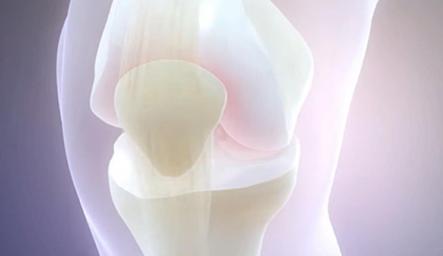 澳洲维骨力关节灵简介,澳洲最新关节炎治疗与研究