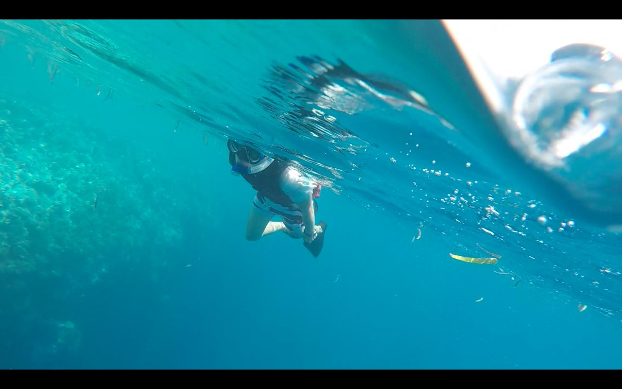 帕劳旅行攻略大全图文,帕劳旅行攻略图文大全