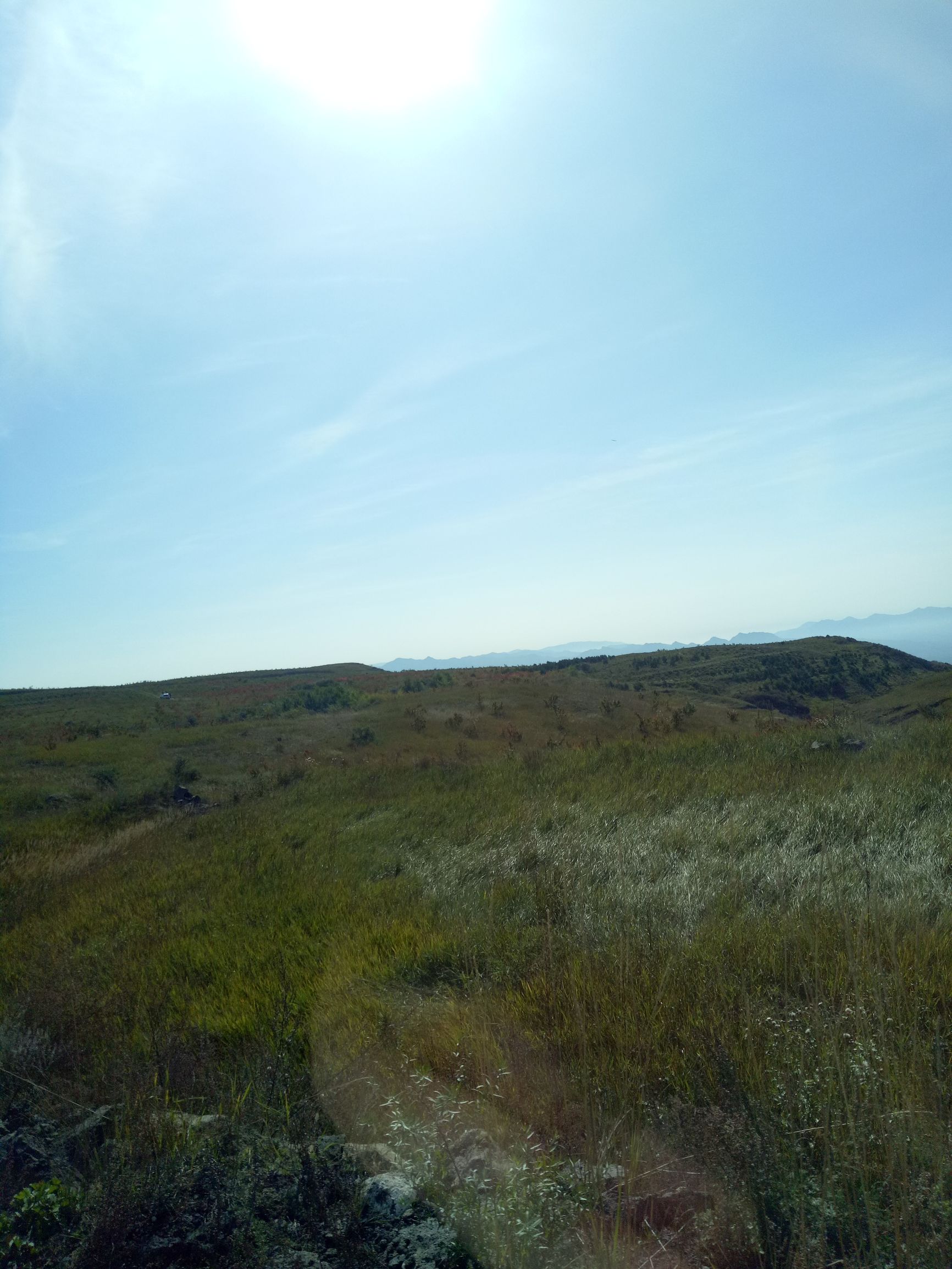 张北的草原天路之旅,张北天路攻略