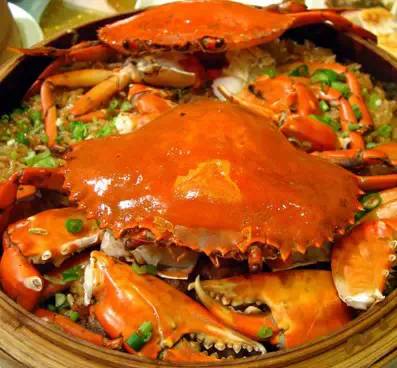 长隆攻略水上乐园和大马戏,广州长隆动物世界旅游攻略