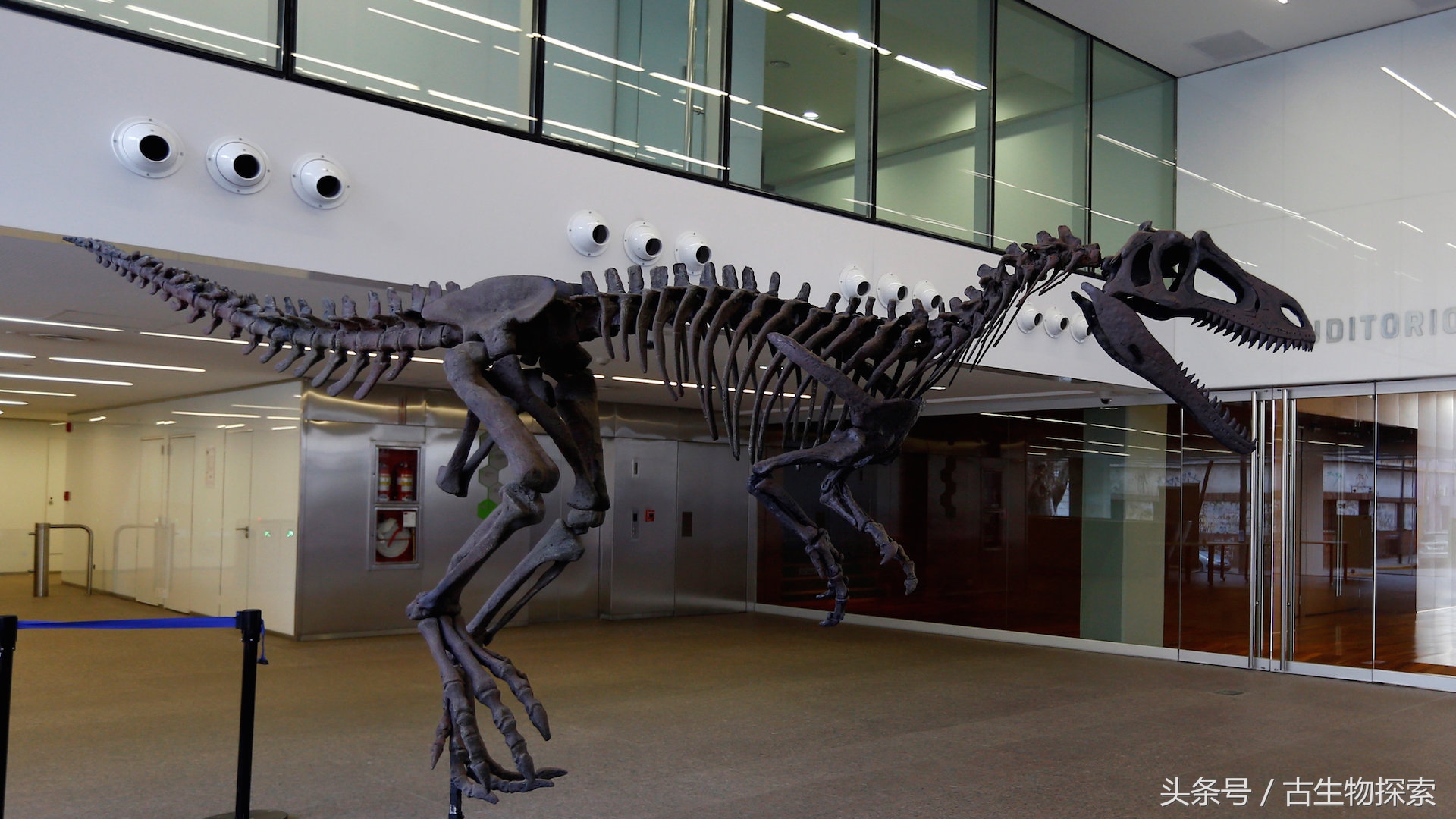 2021年神兽大全,1-8世代神兽盘点