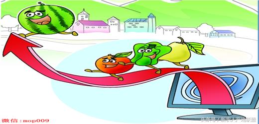 生鲜电商败局启示录,生鲜创业失败反省