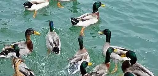 广东也能看到“九寨沟”这样的美景，还不止一个呢！