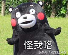 收藏2018年春运抢票攻略来啦,春运抢票全攻略最新文字版本