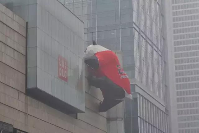 成都ifs熊猫叫什么名字,成都ifs熊猫的看点是什么