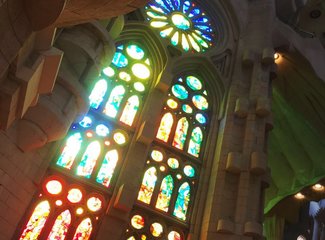 法兰西板鸭,板鸭西班牙语