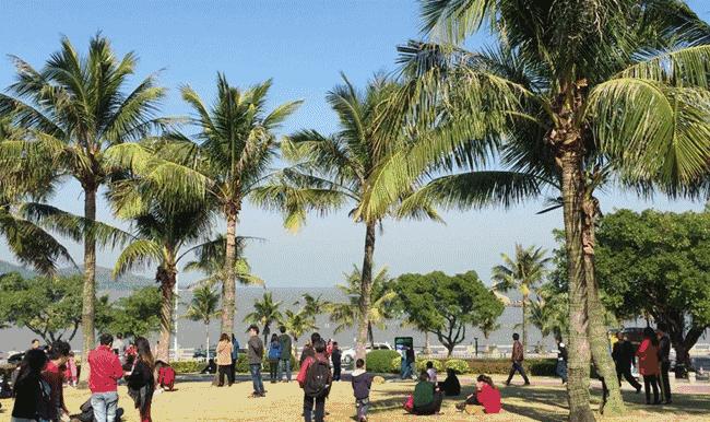 长沙南至珠海高铁时刻表查询,长沙去珠海高铁最佳路线