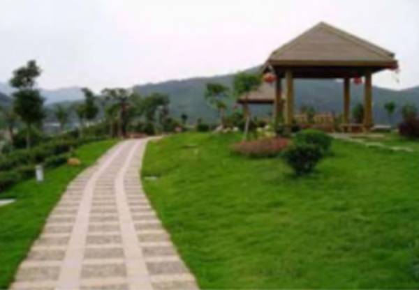 渠县有几个旅游公园,渠县文峰山公园七彩花田