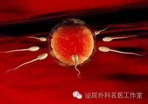 出现一次血精该怎么观察,出现血精用什么药