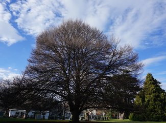 O,∩_∩O~溜达二姐16天独闯新西兰全程巴士