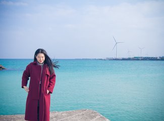 济州岛游记记录,济州岛的春天旅行日记