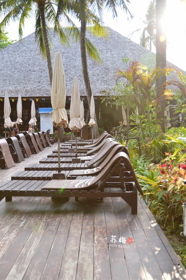 难忘蜜月结局,苏梅岛蜜月旅行