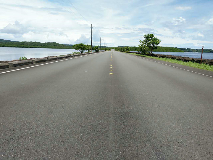 帕劳怎么玩,我来教你怎么玩打野