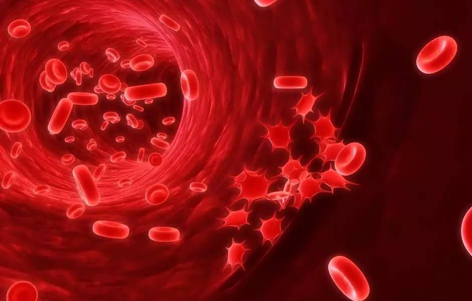 美国血液学年会官网,2017年美国血液学年会精彩分享