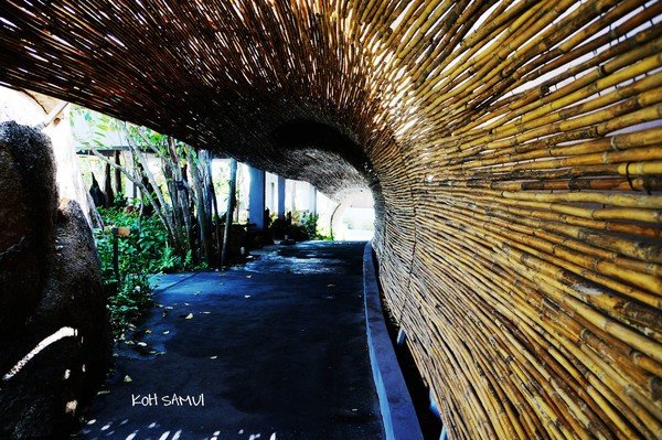 苏梅岛绝美,苏梅岛休闲度假