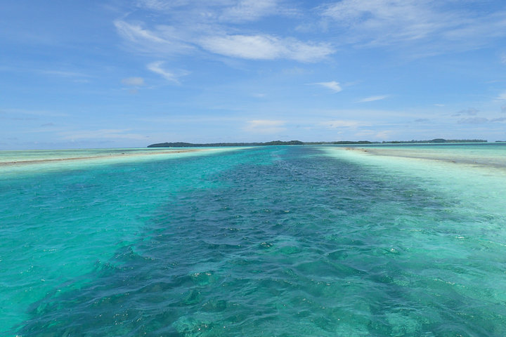帕劳怎么玩,我来教你怎么玩打野