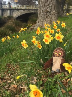 新西兰南岛11天自驾游攻略,新西兰北岛自驾游15天攻略