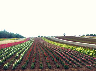 人在美途民族风旅拍,人在美途