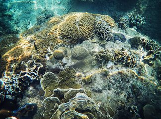 5月去泰国涛岛,几月去泰国旅游苏梅岛