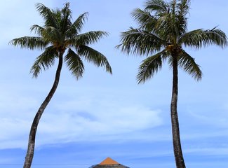 离天堂最近的地方张杰,离天堂最近的地方歌曲