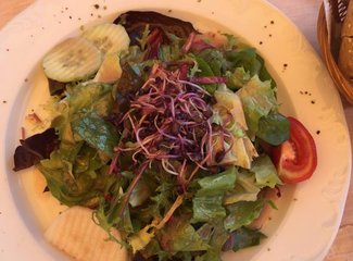 鲜花在脚下，雪山在前方——小淘淘2016年暑假瑞士徒步记